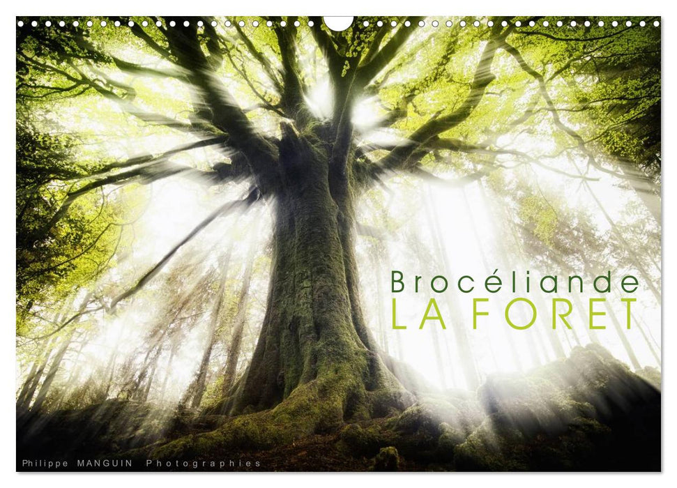 BROCELIANDE, la forêt (CALVENDO Calendrier mensuel 2027)