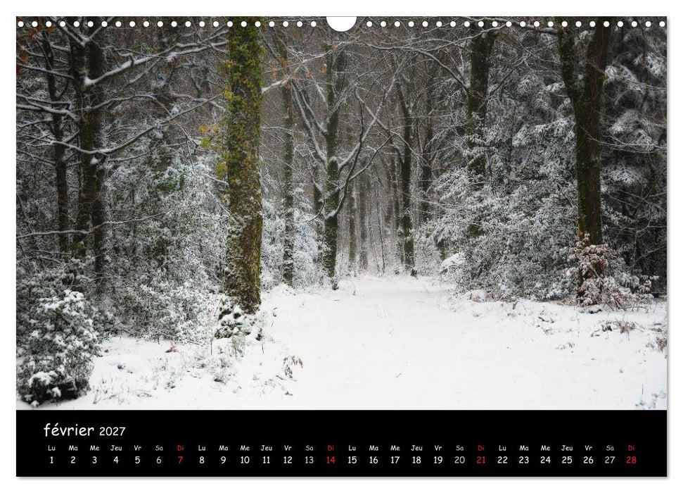BROCELIANDE, la forêt (CALVENDO Calendrier mensuel 2027)