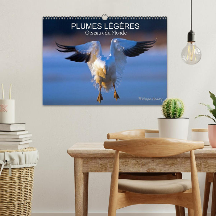 PLUMES LÉGÈRES. Oiseaux du Monde (CALVENDO Calendrier mensuel 2027)
