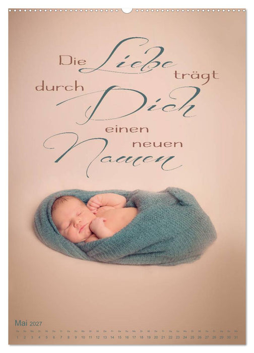Babys - Die Liebe des Lebens (CALVENDO Wandkalender 2027)