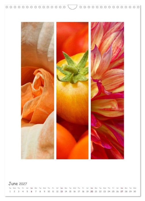 Colours of Nature - Triptycha (CALVENDO Monthly Calendar 2027)