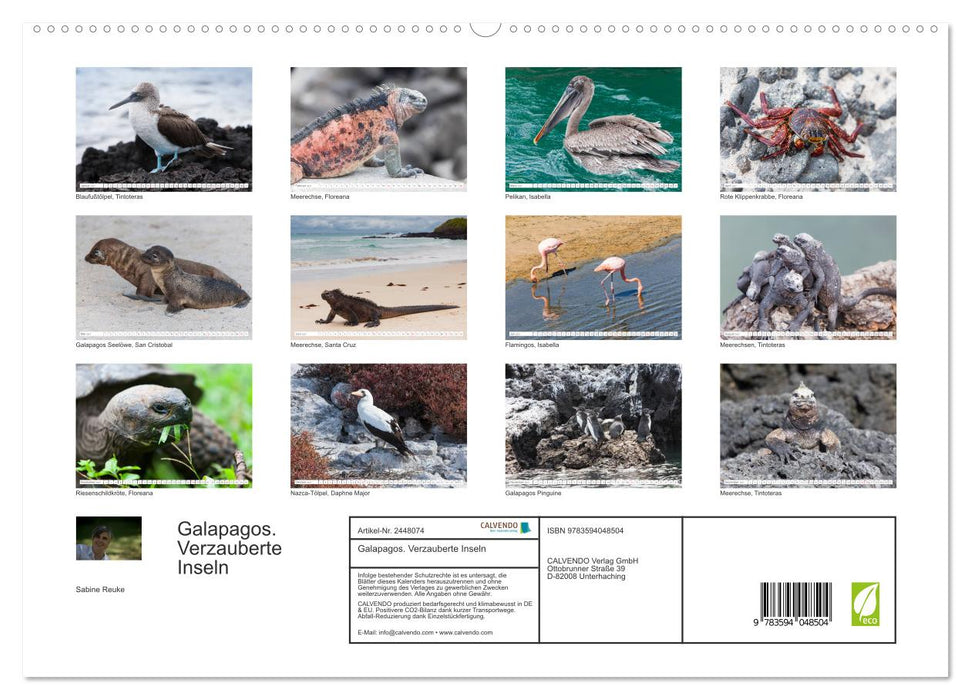 Galapagos. Verzauberte Inseln (CALVENDO Premium Wandkalender 2027)