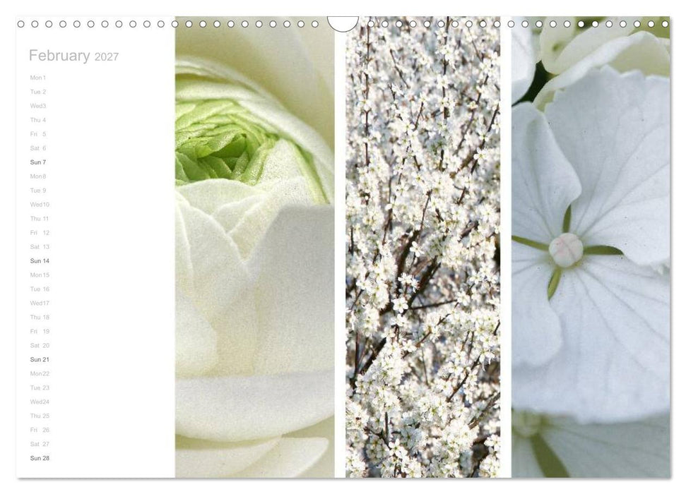 Natural Trios (CALVENDO Monthly Calendar 2027)