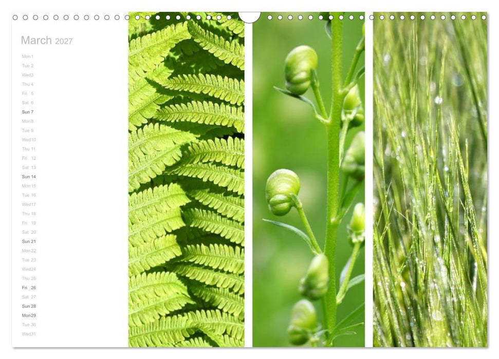 Natural Trios (CALVENDO Monthly Calendar 2027)