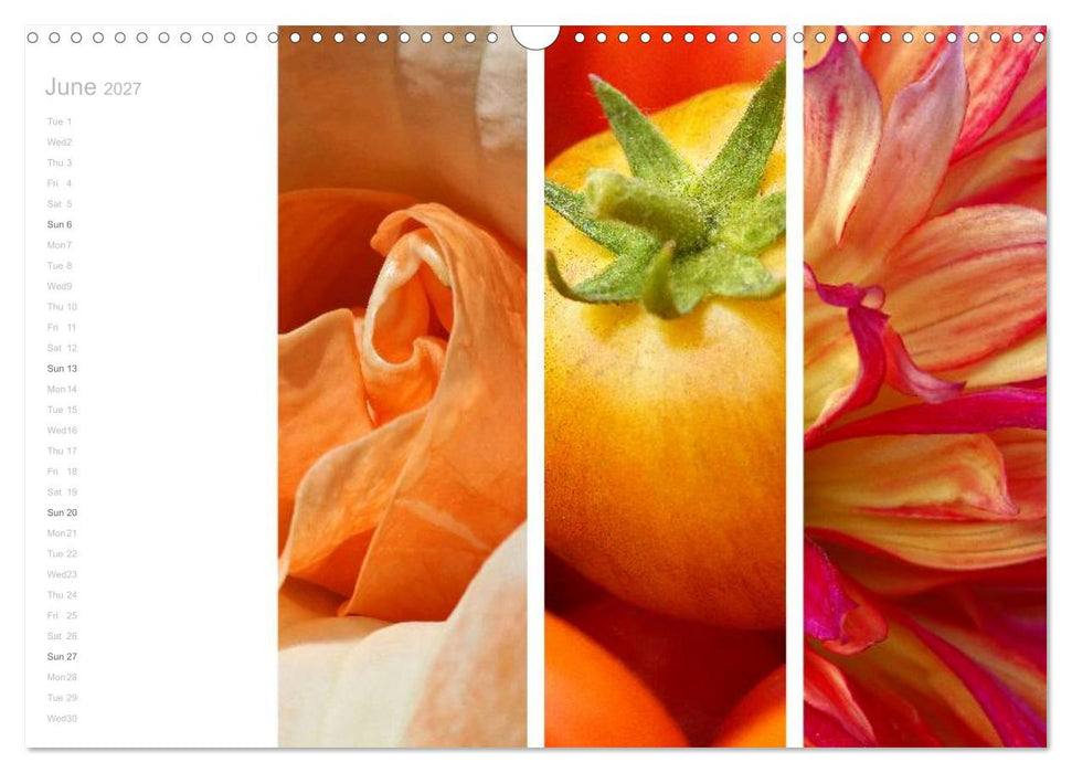 Natural Trios (CALVENDO Monthly Calendar 2027)