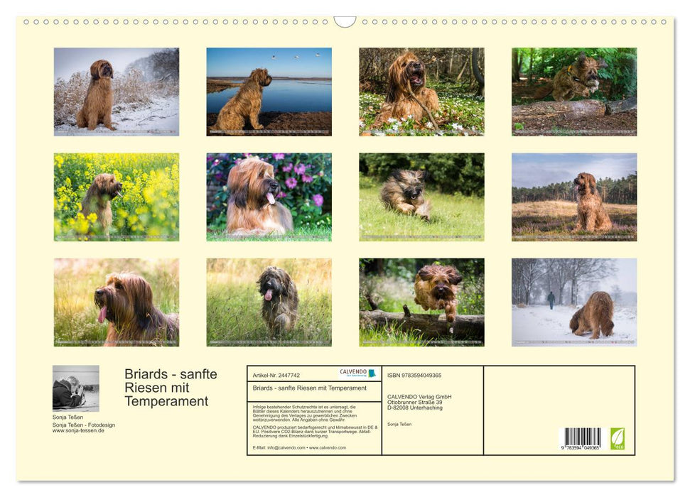 Briards - sanfte Riesen mit Temperament (CALVENDO Wandkalender 2027)