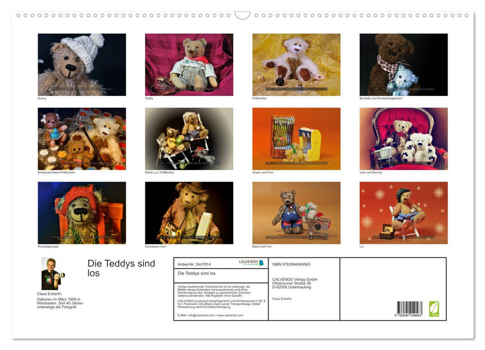 Die Teddys sind los (CALVENDO Wandkalender 2027)