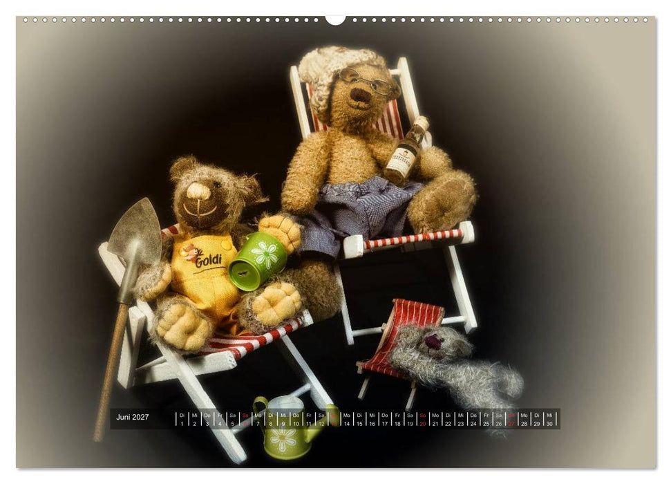Die Teddys sind los (CALVENDO Wandkalender 2027)