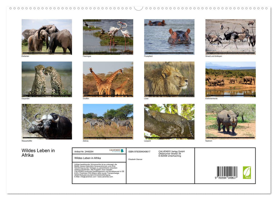 Wildes Leben in Afrika (CALVENDO Premium Wandkalender 2027)