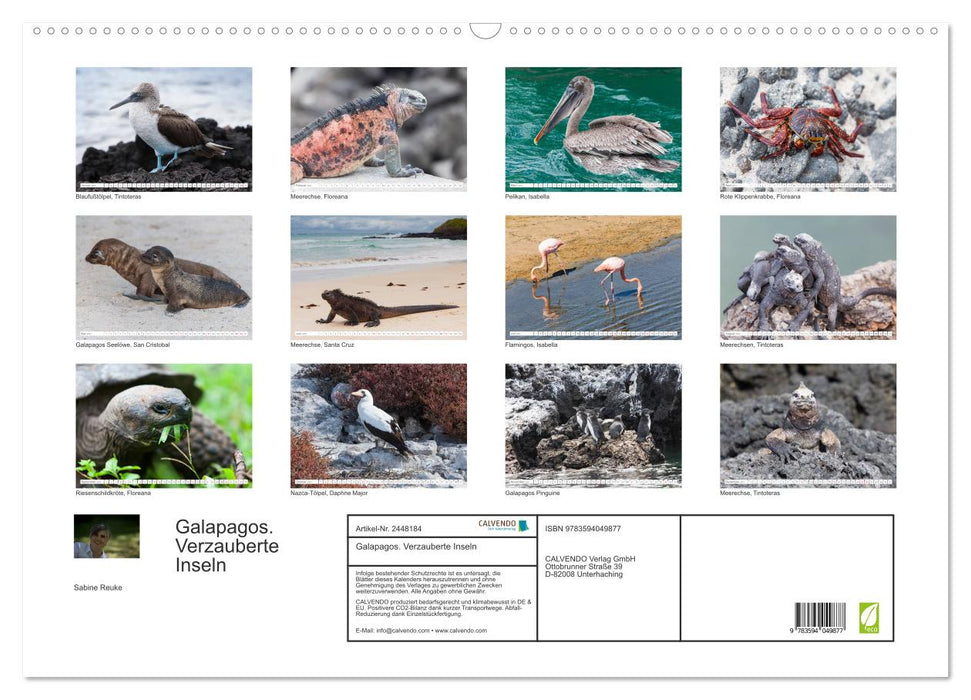 Galapagos. Verzauberte Inseln (CALVENDO Wandkalender 2027)