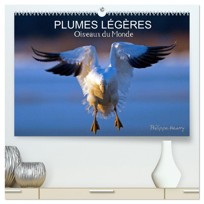 PLUMES LÉGÈRES. Oiseaux du Monde (CALVENDO Calendrier supérieur 2027)