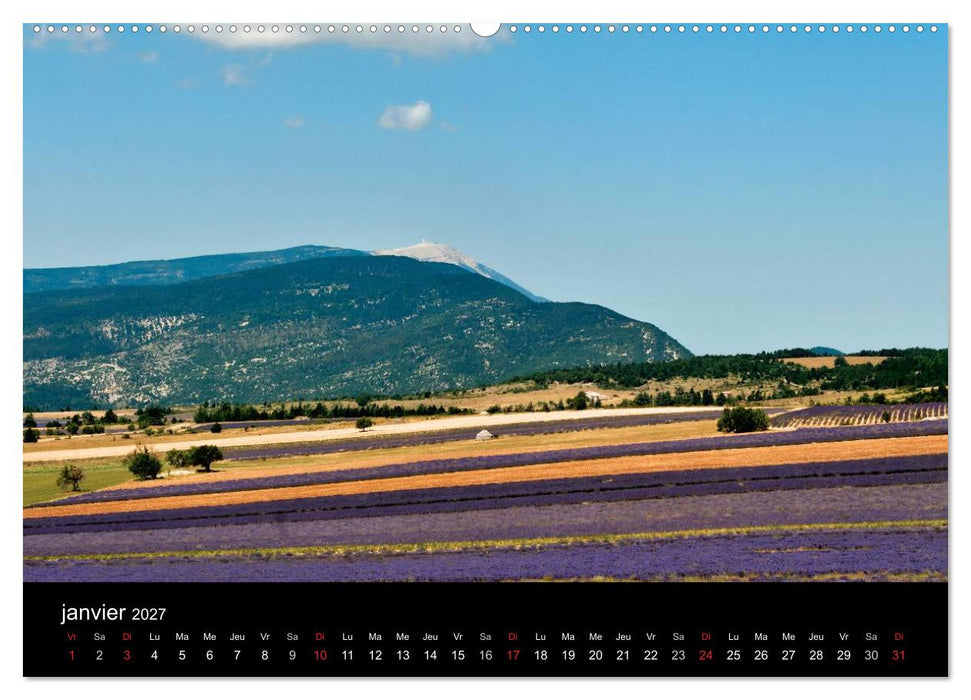 Lavande, l'or bleu de Provence (CALVENDO Calendrier supérieur 2027)