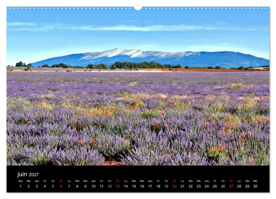 Lavande, l'or bleu de Provence (CALVENDO Calendrier supérieur 2027)