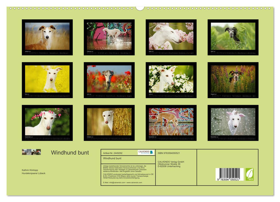 Windhund bunt (CALVENDO Premium Wandkalender 2027)