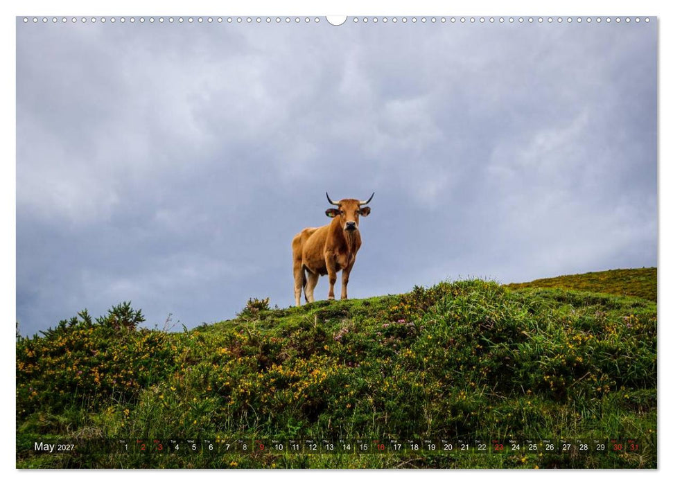 Picos de Europa - In and around the national park (CALVENDO Premium-Calendar 2027)