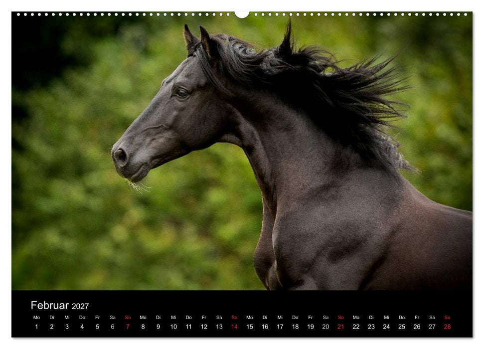 Spaniens stolze Pferde (CALVENDO Premium Wandkalender 2027)