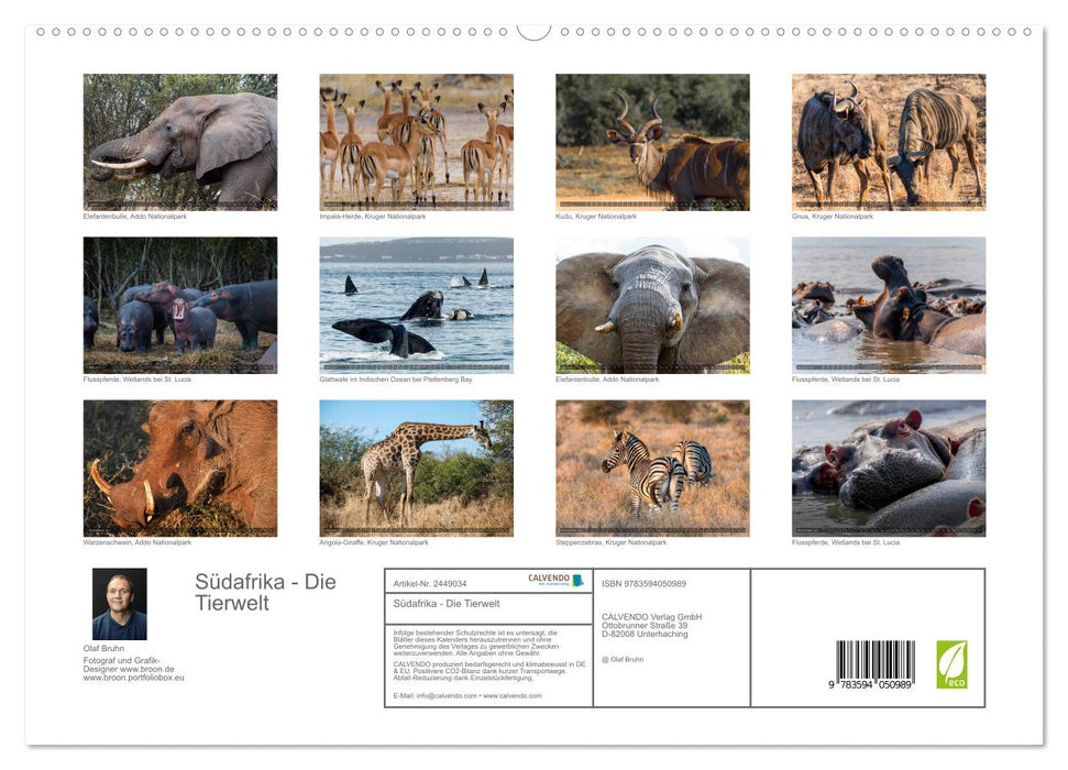 Südafrika - Die Tierwelt (CALVENDO Premium Wandkalender 2027)