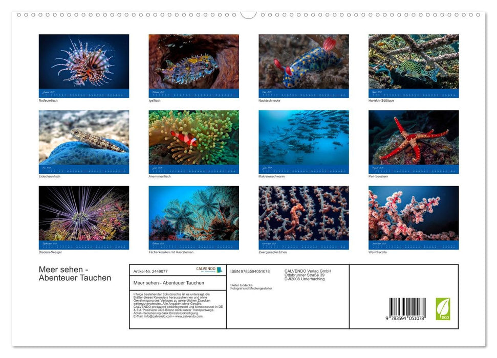 Meer sehen - Abenteuer Tauchen (CALVENDO Premium Wandkalender 2027)