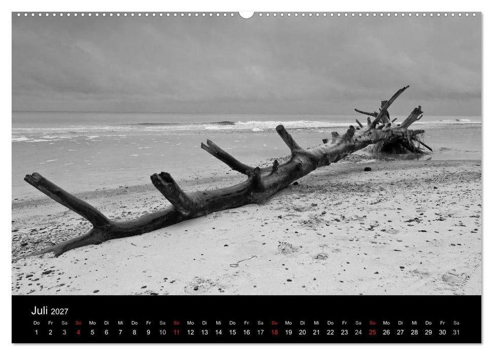 Strandspaziergang an der Ostsee (CALVENDO Premium Wandkalender 2027)