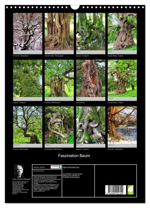 Faszination Baum (CALVENDO Wandkalender 2027)