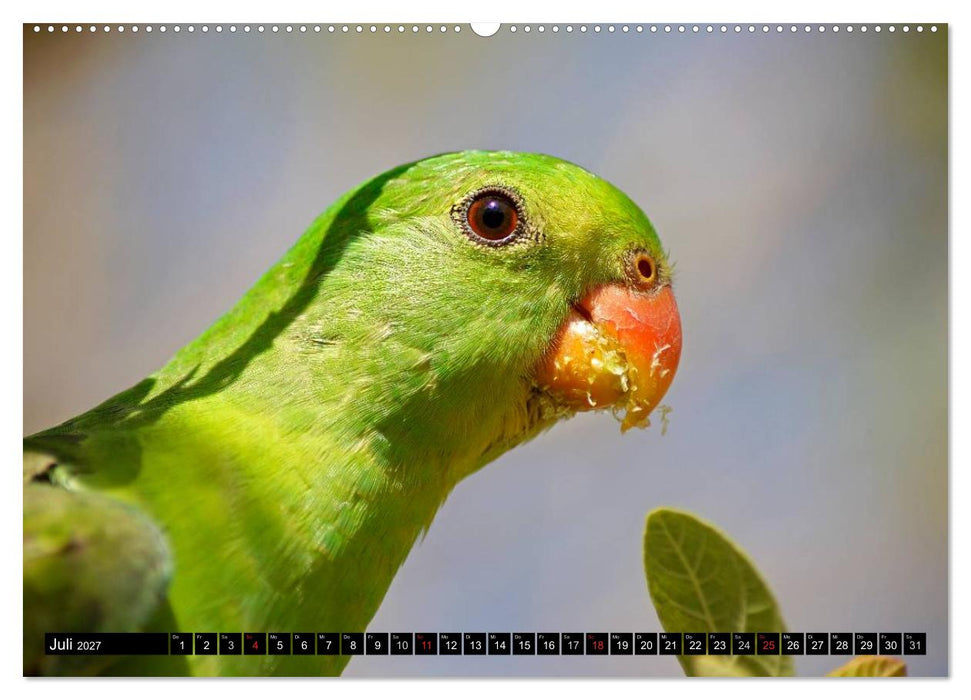 Die Tierwelt in Australien (CALVENDO Premium Wandkalender 2027)