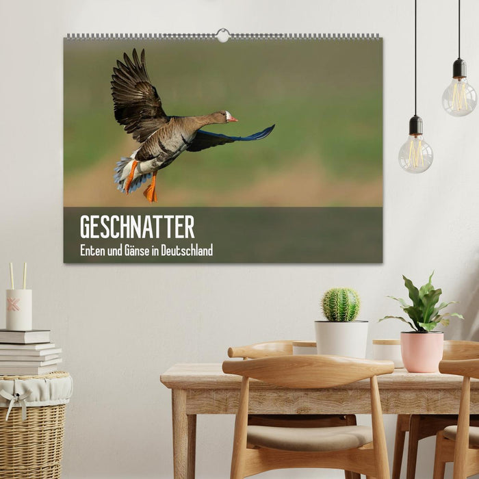 Geschnatter - Enten und Gänse in Deutschland (CALVENDO Wandkalender 2027)