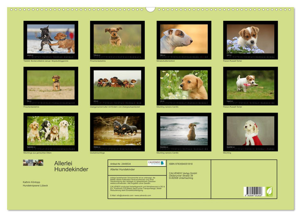 Allerlei Hundekinder (CALVENDO Wandkalender 2027)