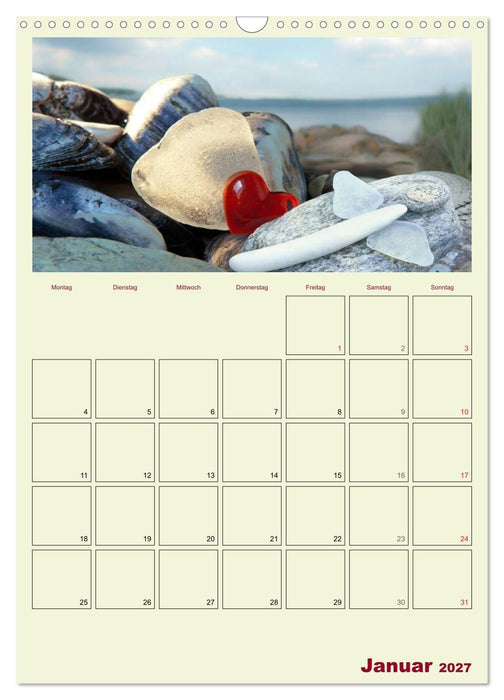 Monatsplaber für fleißige Engel (CALVENDO Wandkalender 2027)