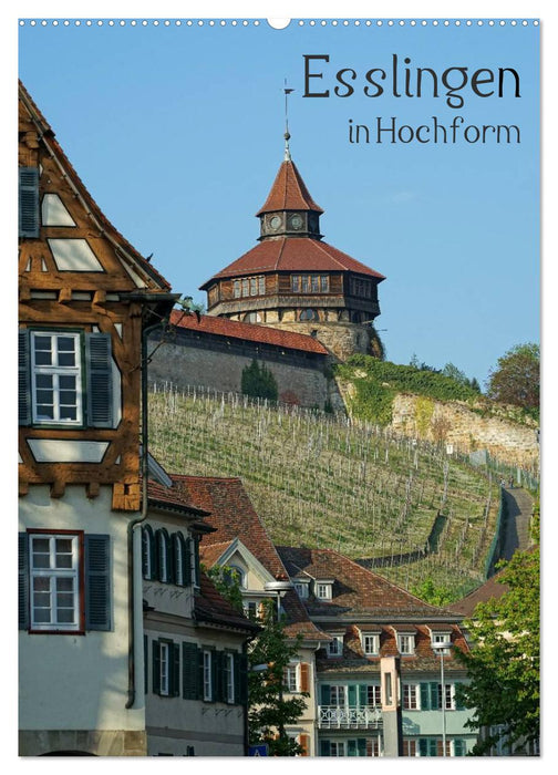 Esslingen in Hochform (CALVENDO Wandkalender 2027)