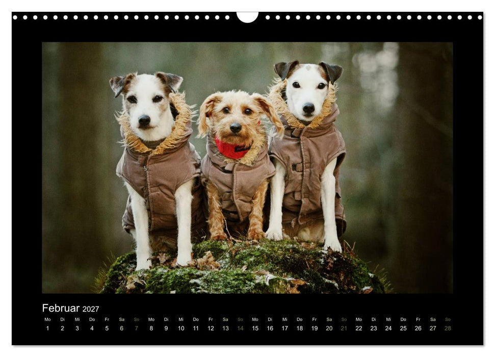 Die Parsons (CALVENDO Wandkalender 2027)