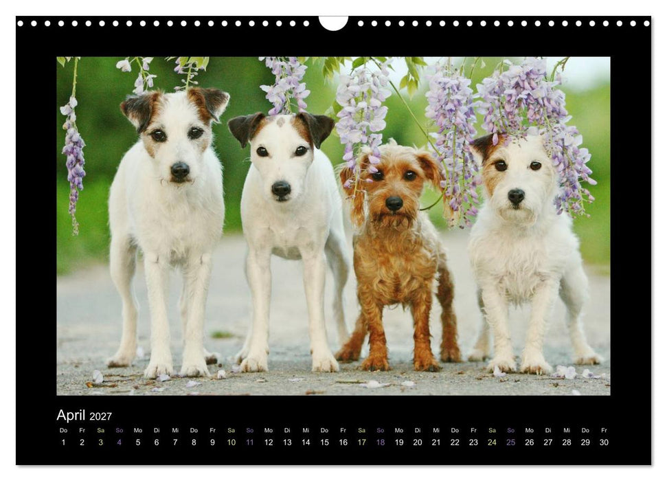 Die Parsons (CALVENDO Wandkalender 2027)