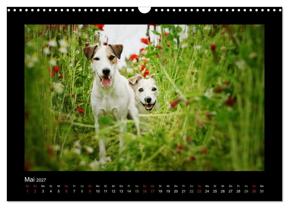 Die Parsons (CALVENDO Wandkalender 2027)