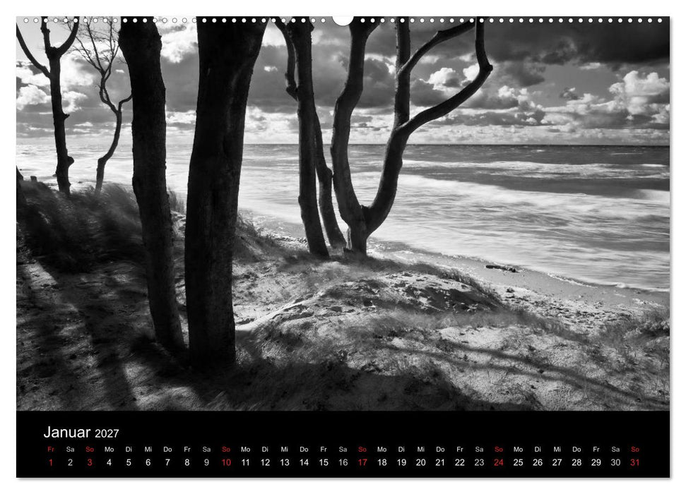 Strandspaziergang an der Ostsee (CALVENDO Wandkalender 2027)