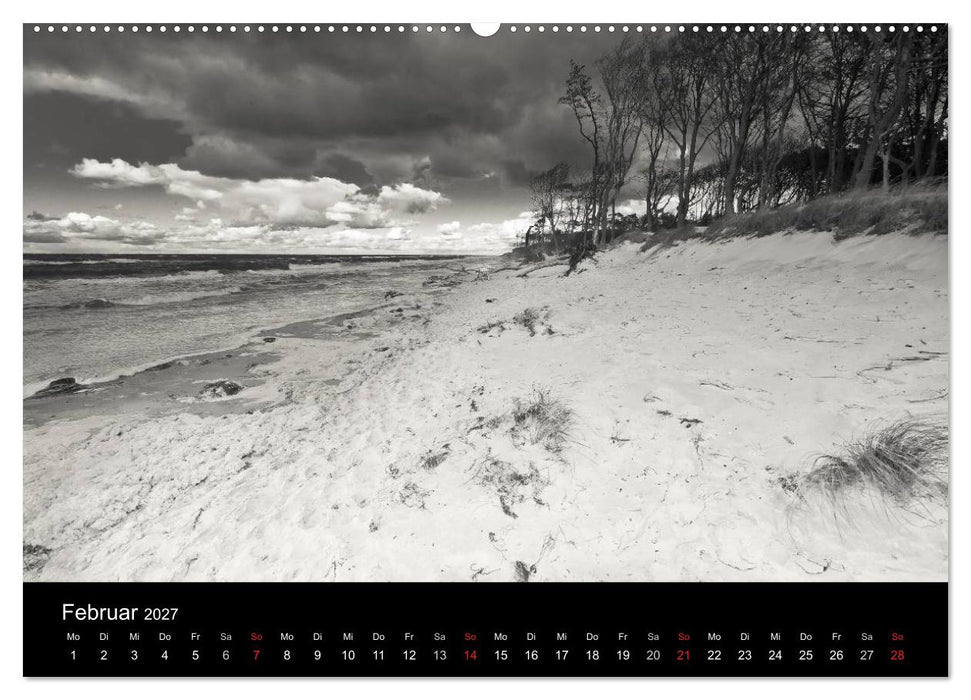 Strandspaziergang an der Ostsee (CALVENDO Wandkalender 2027)