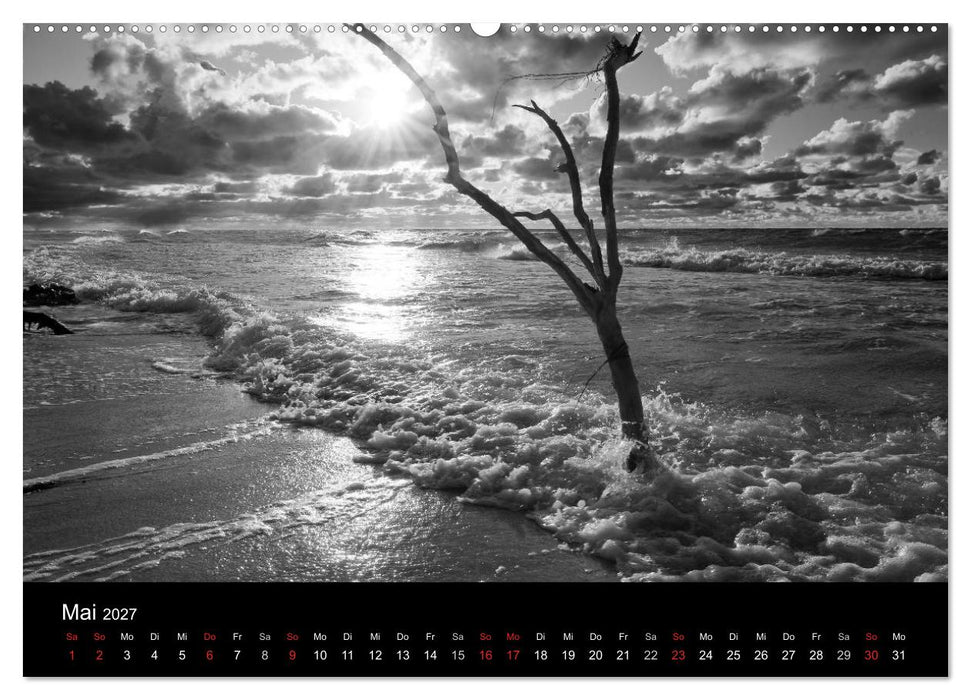 Strandspaziergang an der Ostsee (CALVENDO Wandkalender 2027)