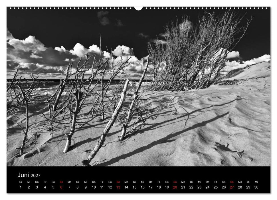 Strandspaziergang an der Ostsee (CALVENDO Wandkalender 2027)