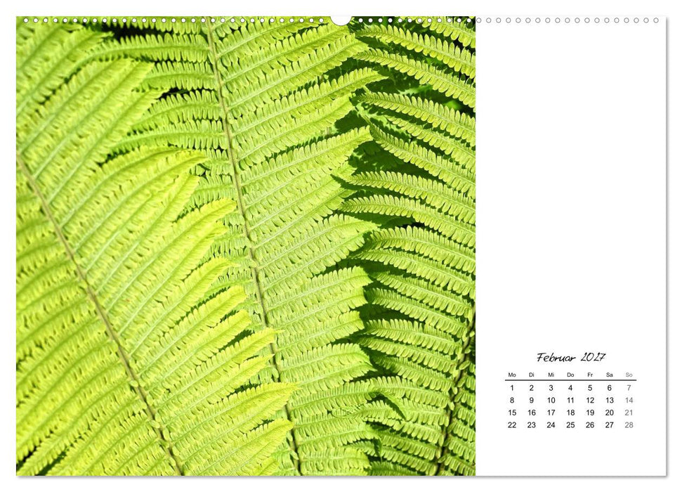 Blattkunst (CALVENDO Premium Wandkalender 2027)