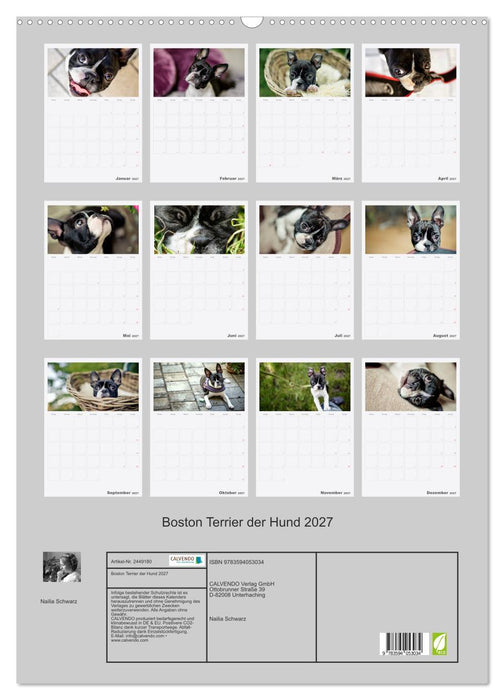 Boston Terrier der Hund 2027 (CALVENDO Wandkalender 2027)