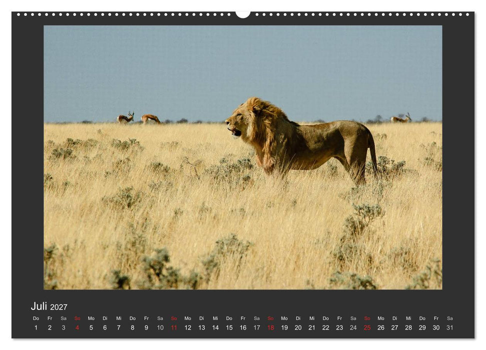 Facetten Namibias (CALVENDO Premium Wandkalender 2027)