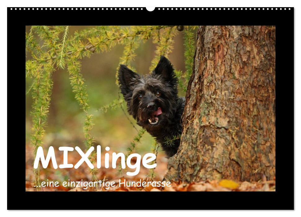 MIXlinge (CALVENDO Wandkalender 2027)