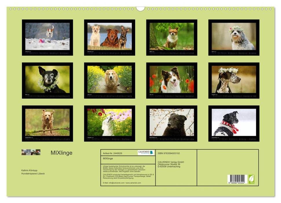 MIXlinge (CALVENDO Wandkalender 2027)