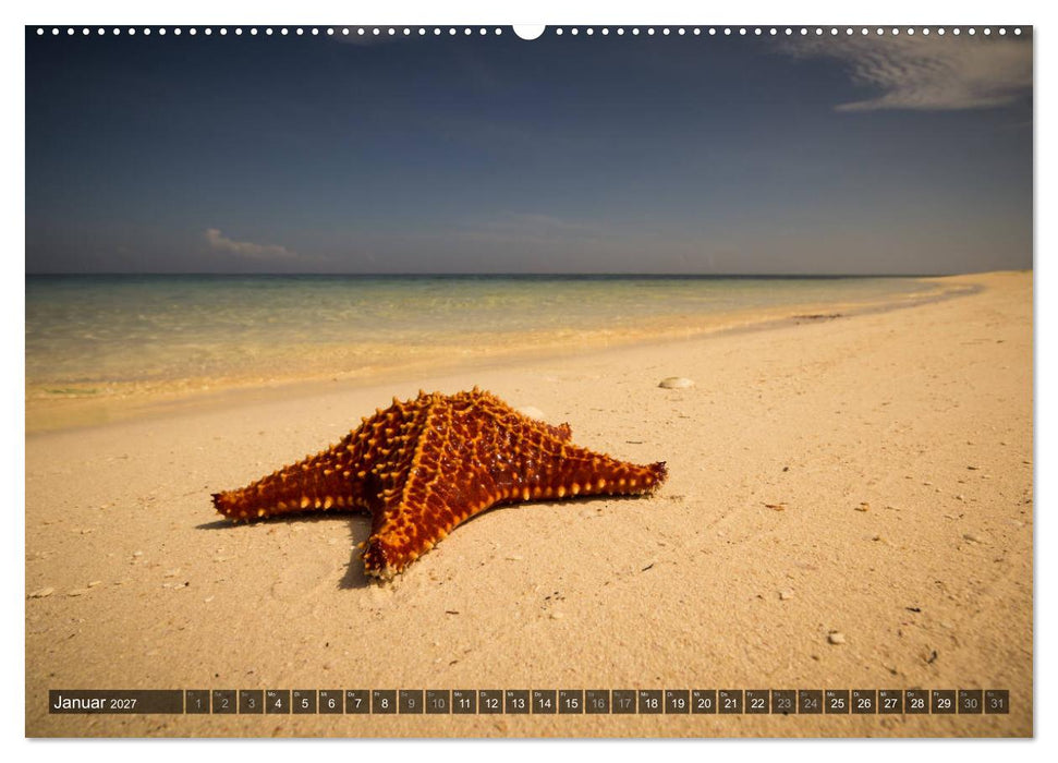 Kuba Nostalgie 2027 (CALVENDO Premium Wandkalender 2027)