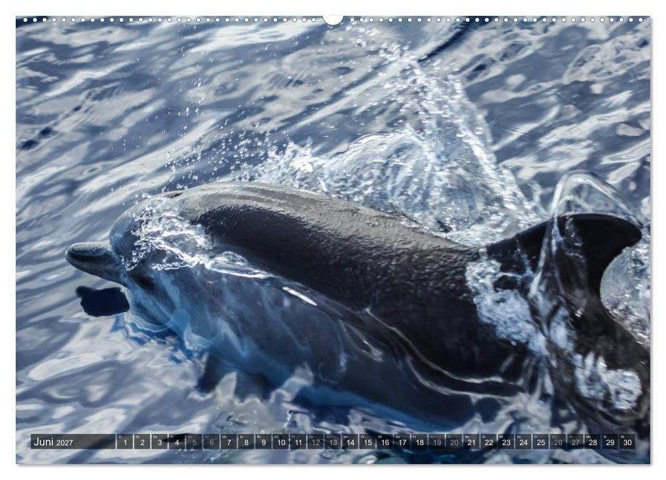 La Gomera 2027 - Eine Entdeckungsreise (CALVENDO Premium Wandkalender 2027)