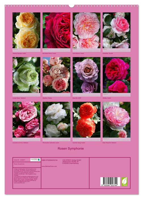 Rosen Symphonie (CALVENDO Premium Wandkalender 2027)