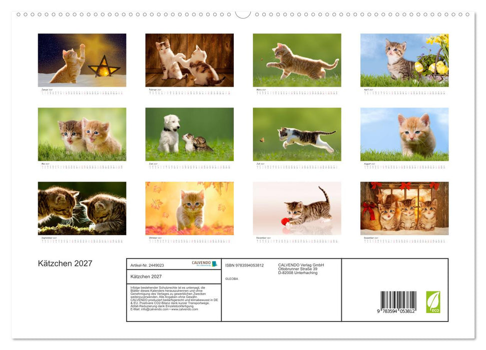 Kätzchen 2027 (CALVENDO Premium Wandkalender 2027)