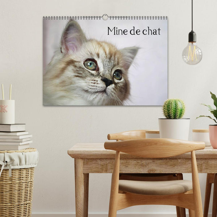 Mine de chat (CALVENDO Calendrier mensuel 2027)