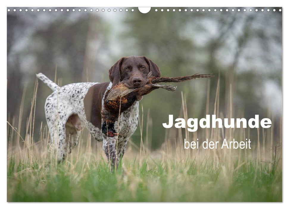 Jagdhunde bei der Arbeit (CALVENDO Wandkalender 2027)