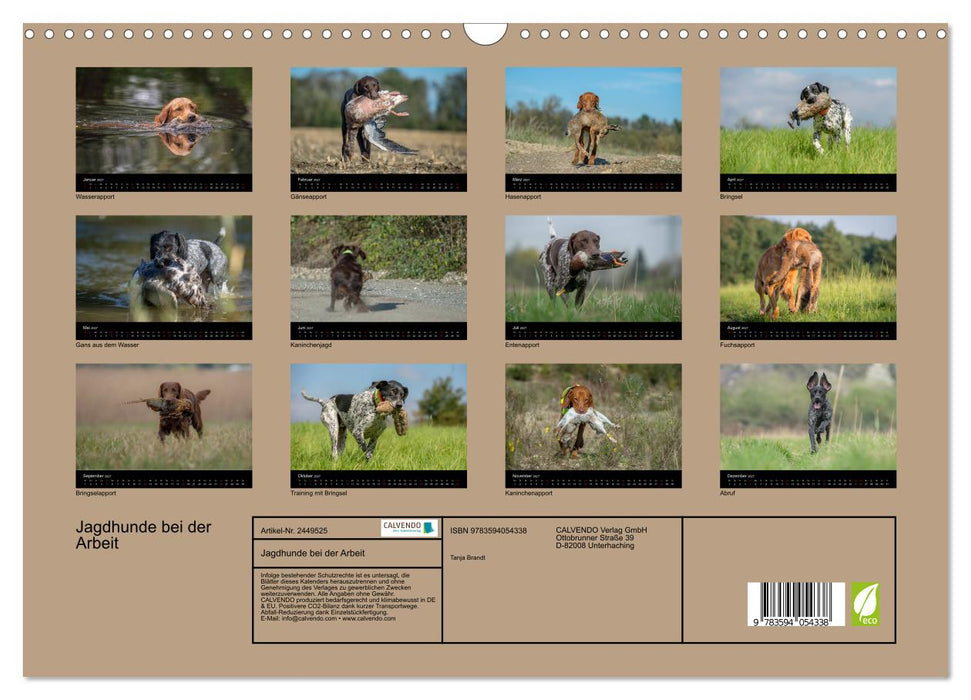 Jagdhunde bei der Arbeit (CALVENDO Wandkalender 2027)