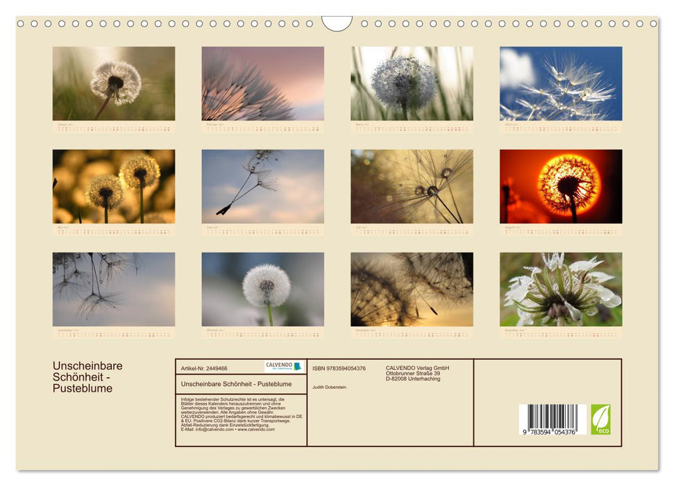 Unscheinbare Schönheit - Pusteblume (CALVENDO Wandkalender 2027)