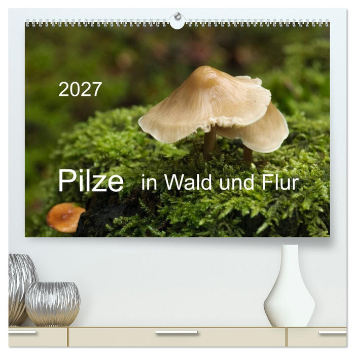 Pilze in Wald und Flur (CALVENDO Premium Wandkalender 2027)